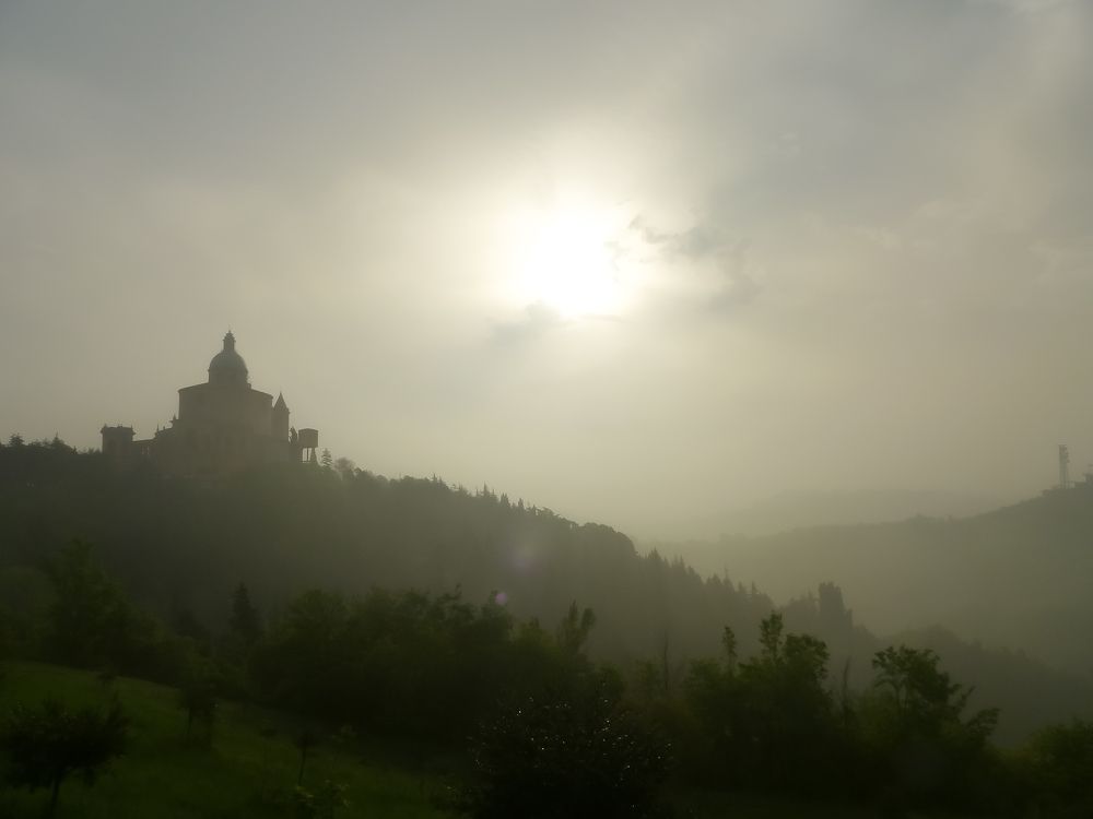 Photo #6694503