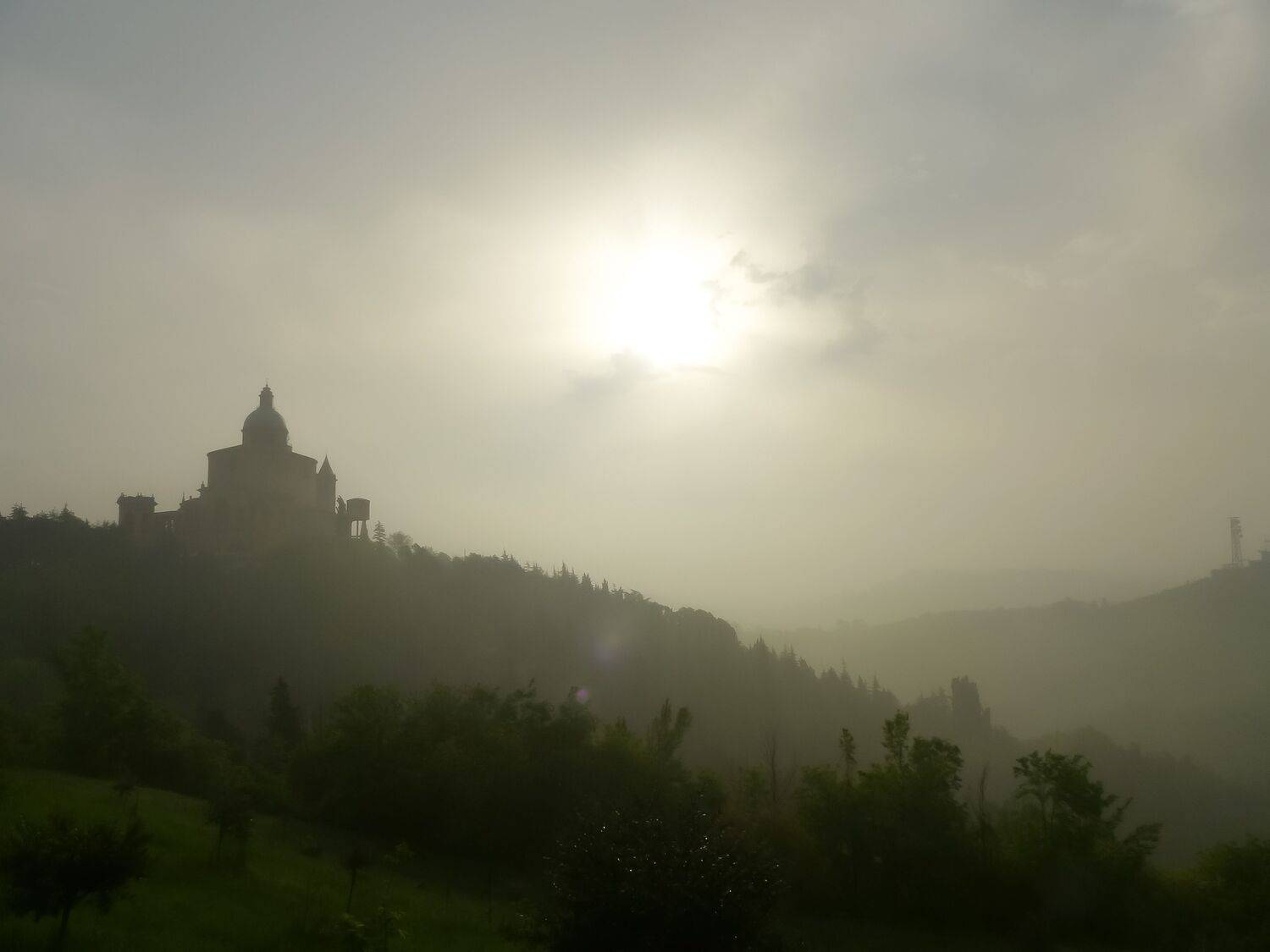Photo #6694503