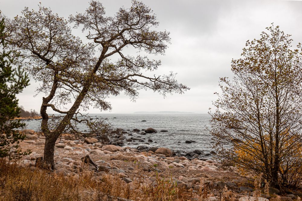 Фотография автора Евгений Лукьянов