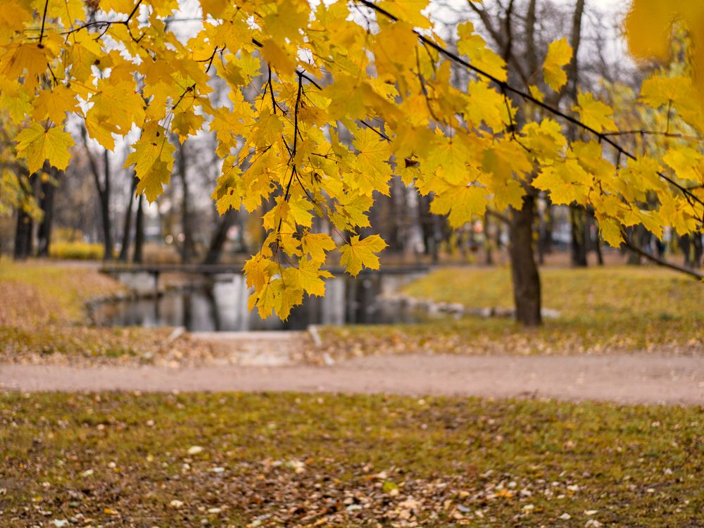 Photograph by Ирина Баландина