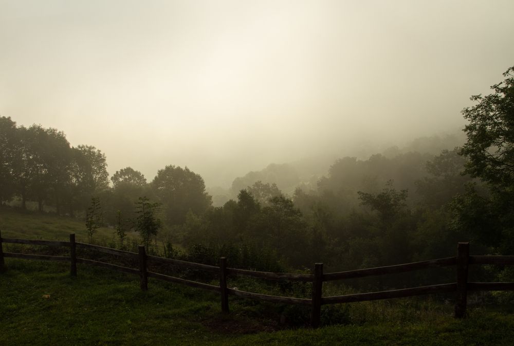 Фотография автора Оксана Мерзликина