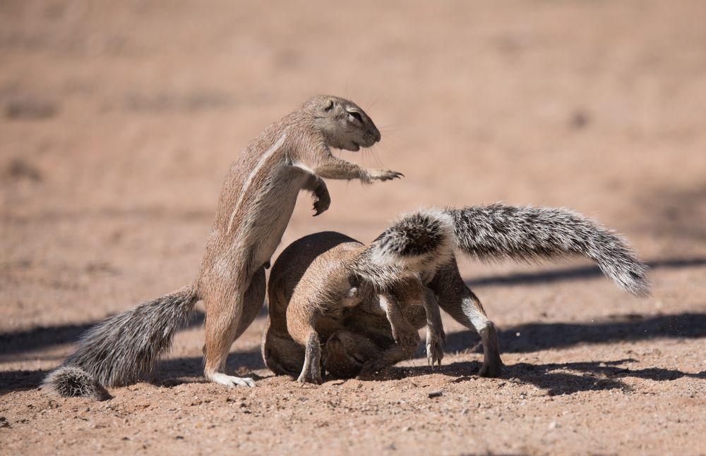 Photograph by Владимир Цветов