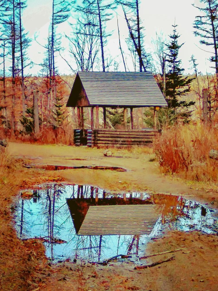 Фотография автора Olena Vorotyntseva