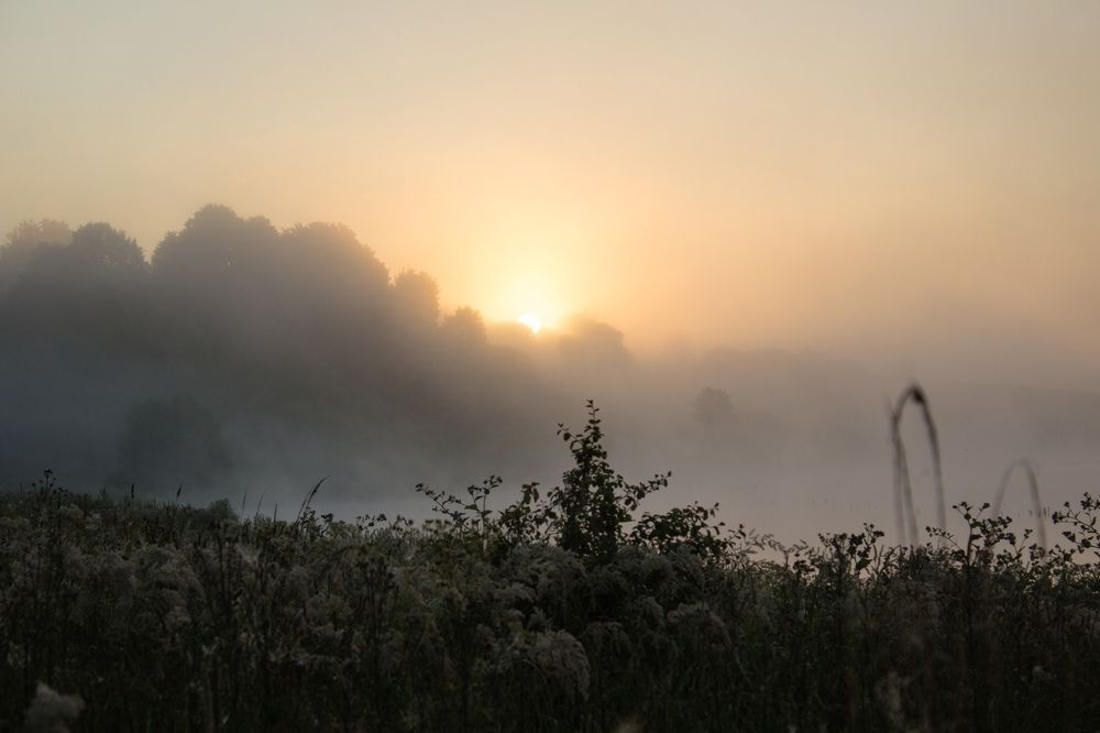 Photograph by Ольга Сергеенко