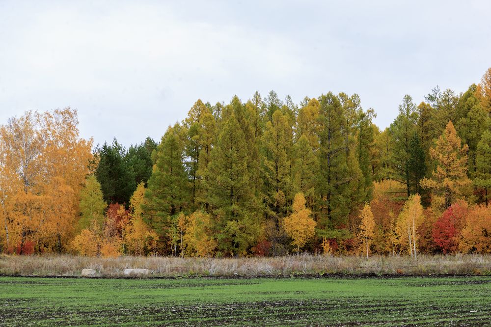 Фотография автора Рамиль Фаттахов
