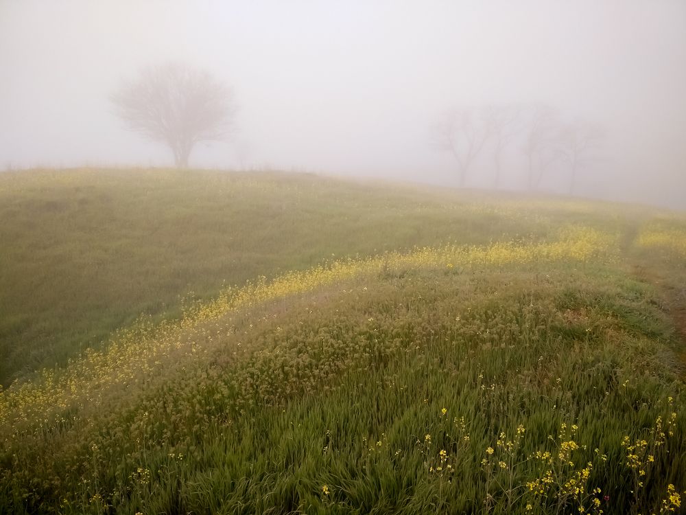 Photograph by Елена Шилова