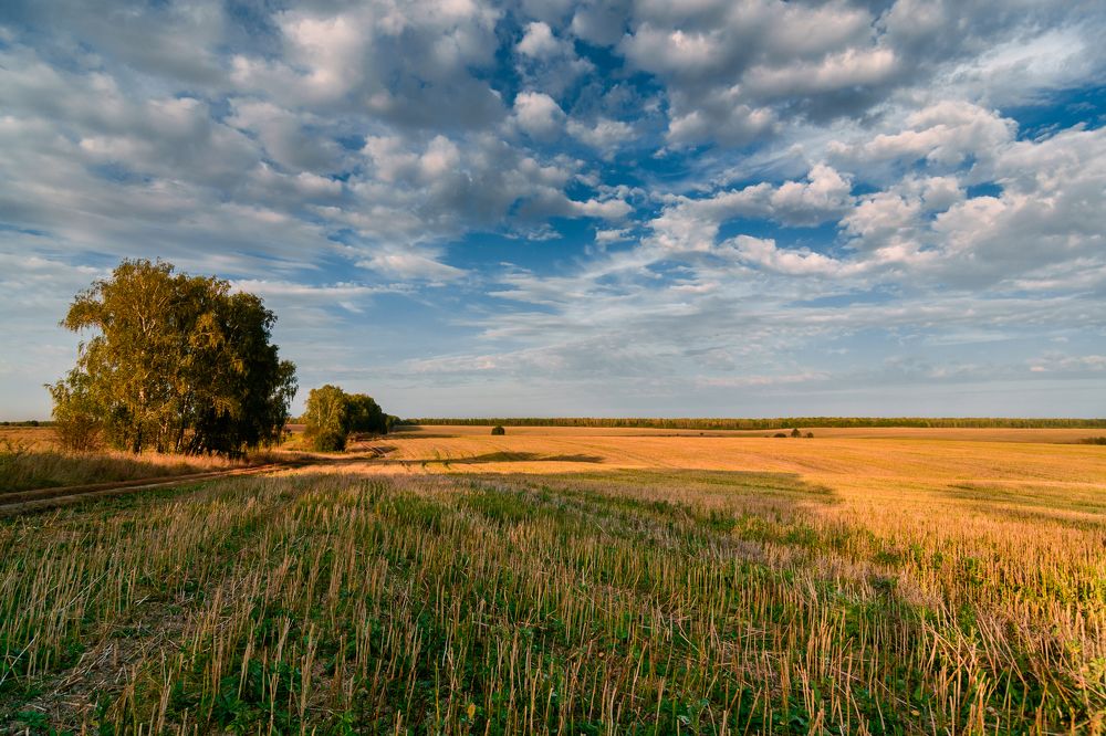 Photograph by Василий Ворона