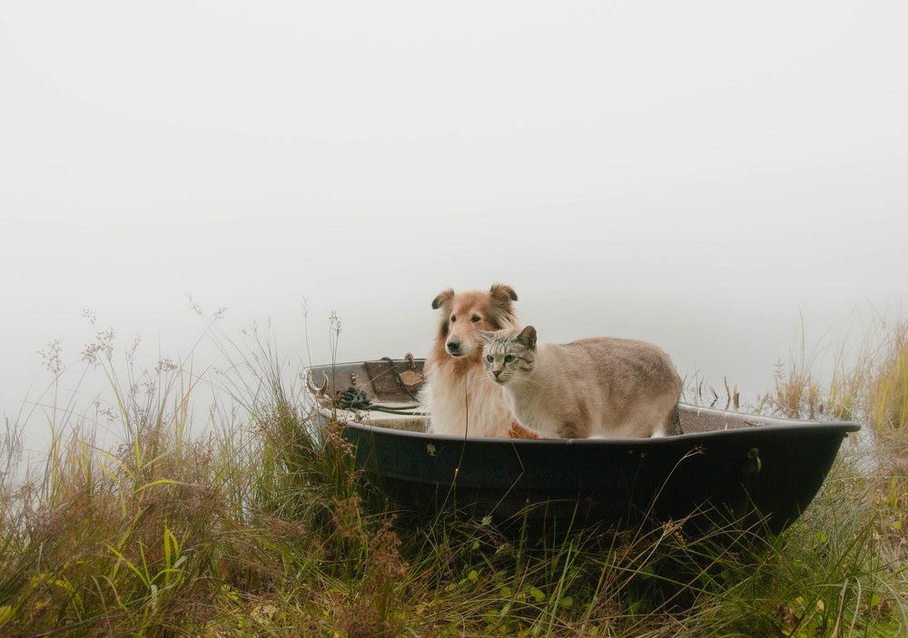 Photograph by LYUDMYLA POKRYSHEN