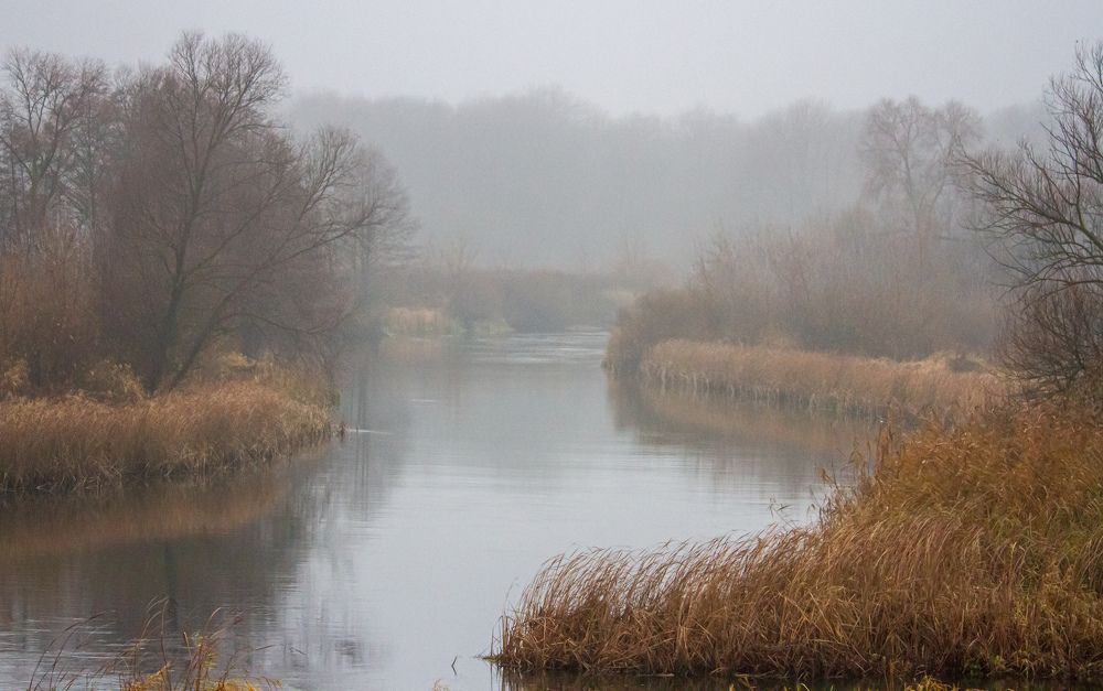 Утро на берегу
