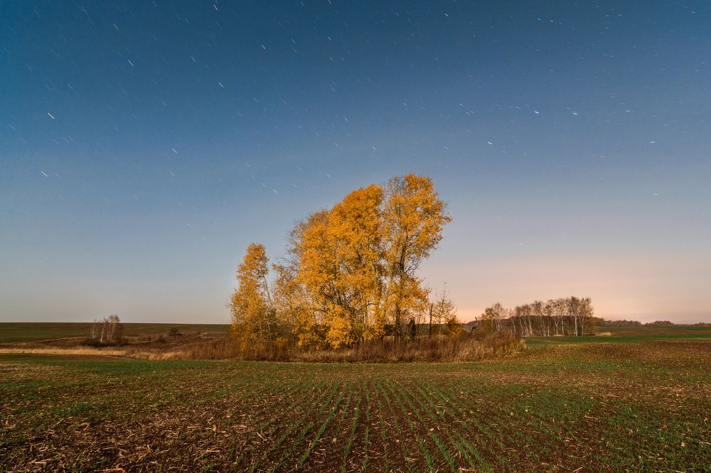 Photograph by Василий Ворона
