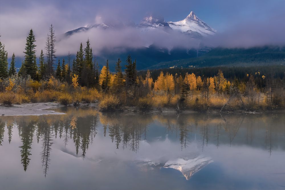 Photograph by Brian Adamson