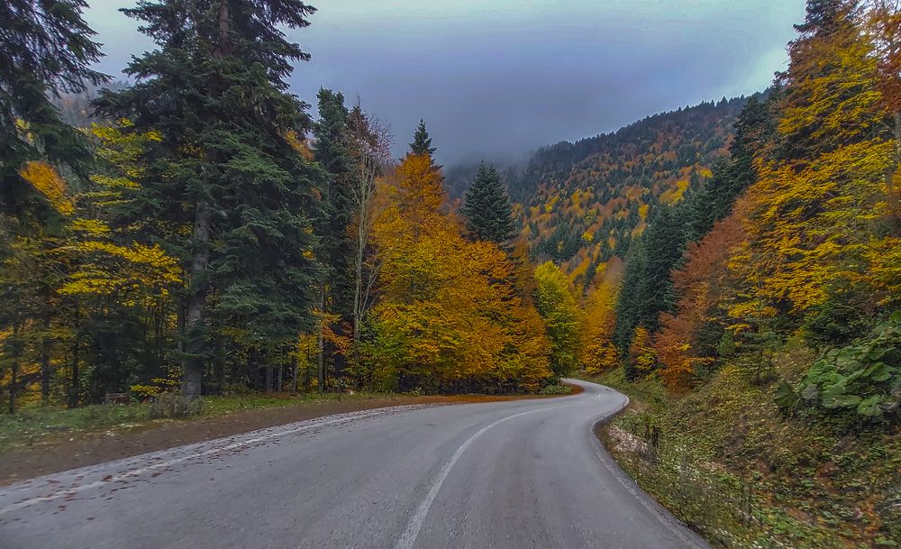 Photograph by mehmet enver karanfil