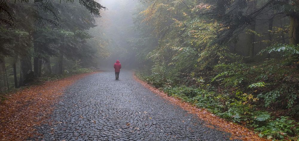 Photograph by mehmet enver karanfil