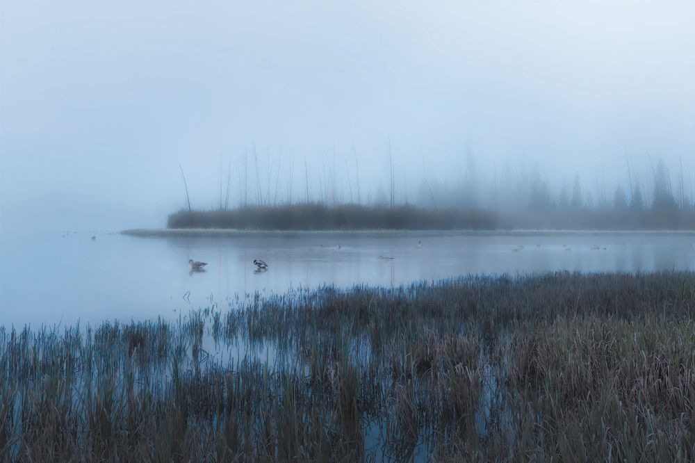 Photograph by Brian Adamson