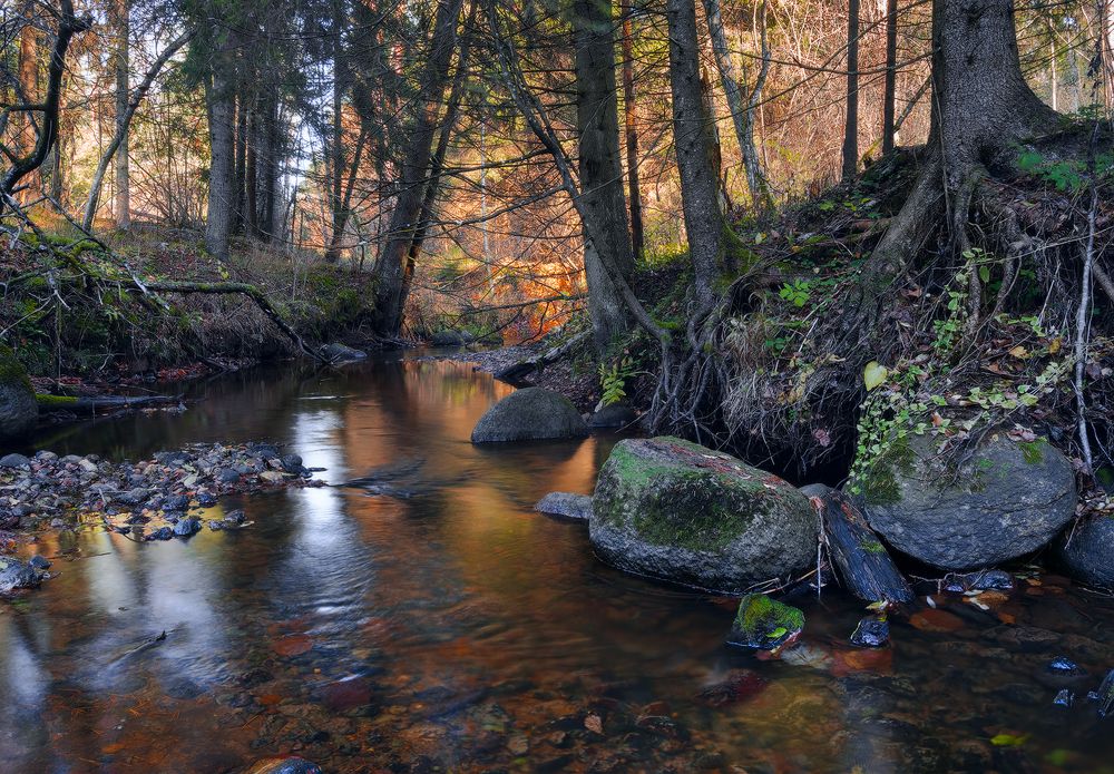 Фотография автора Andrew Kuzmin