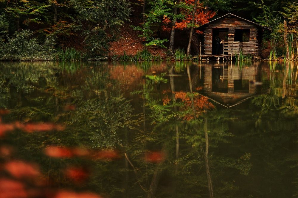 Photograph by Татьяна Бондар