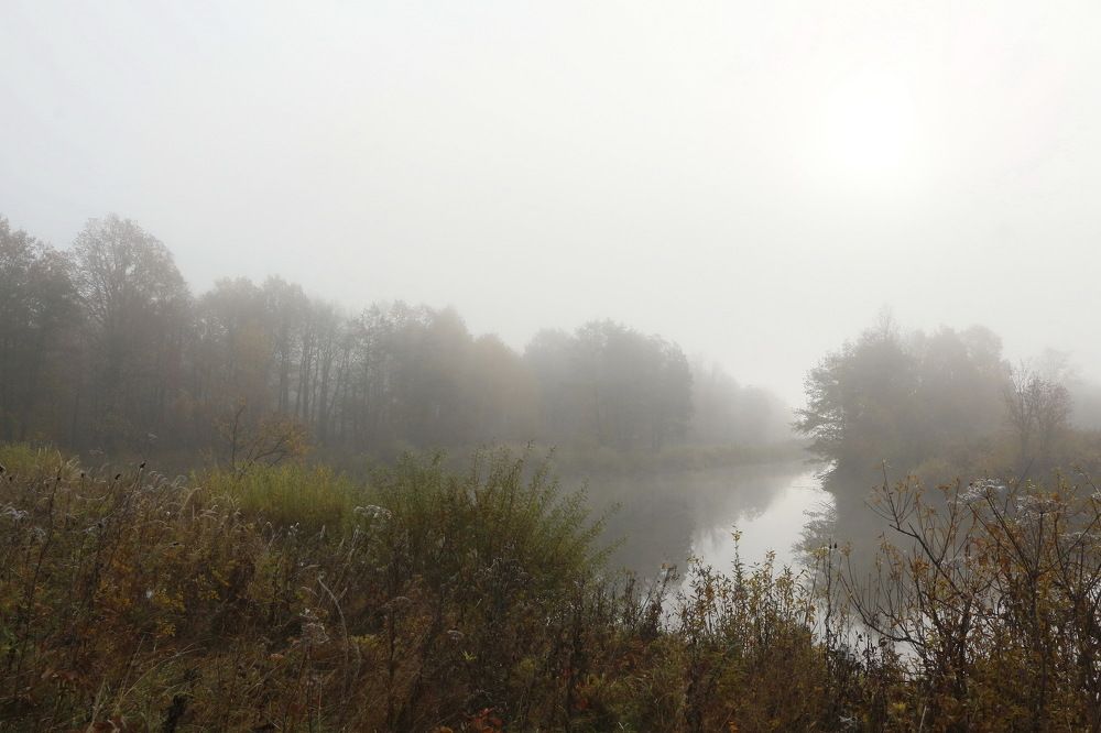 Photograph by Татьяна Колесникова