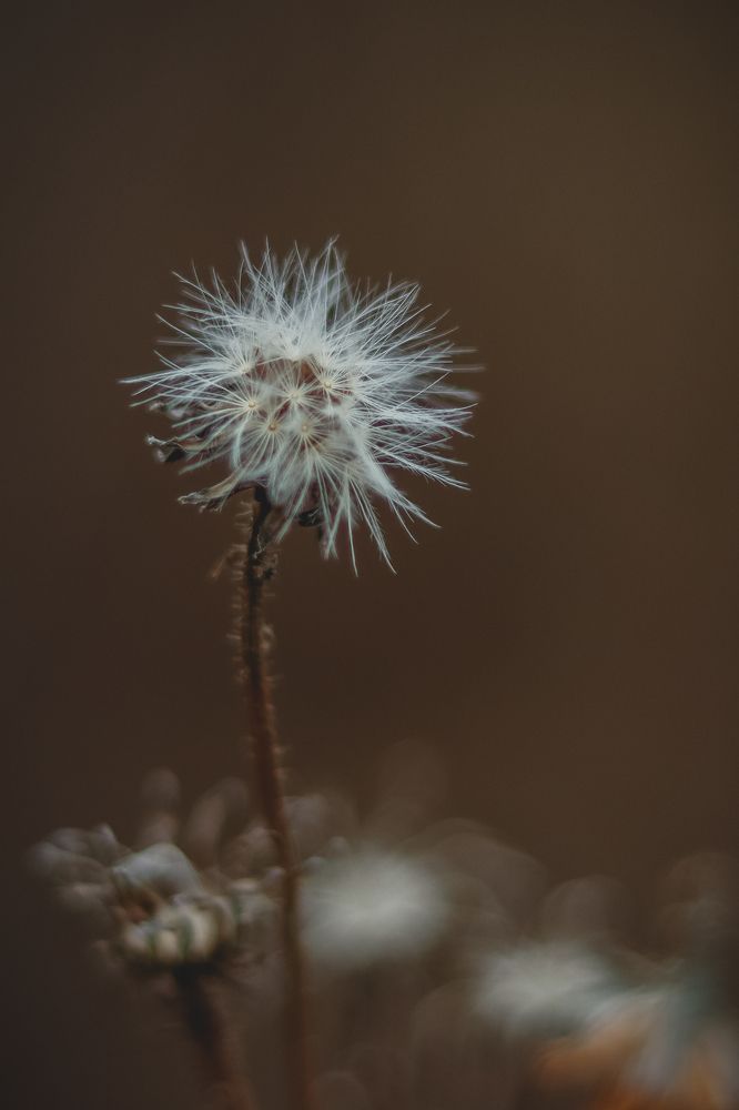 Photograph by Марина Слепова