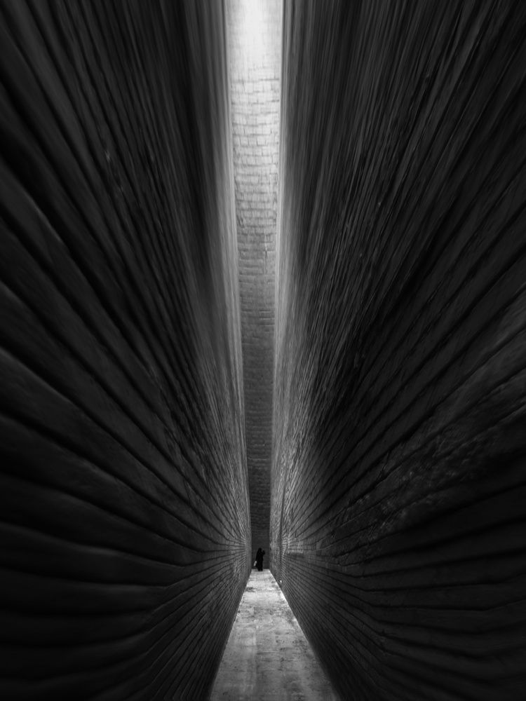 جناحا فراشة