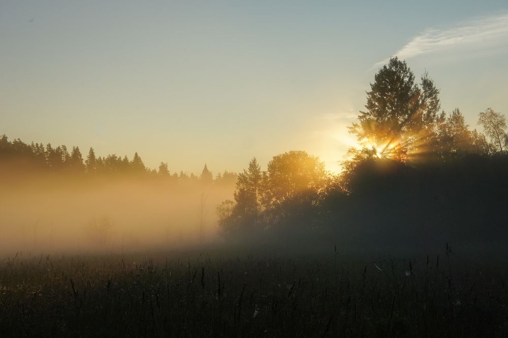 Фотография автора Екатерина Кожевникова