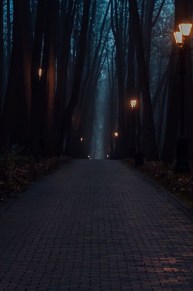 Photograph by Александрина Маринова