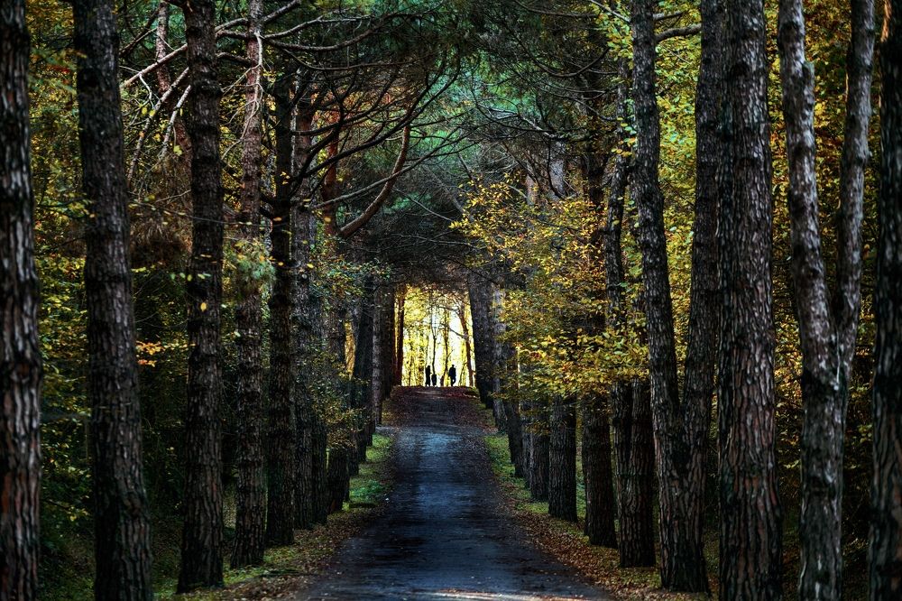 Photograph by Nuket Uluc