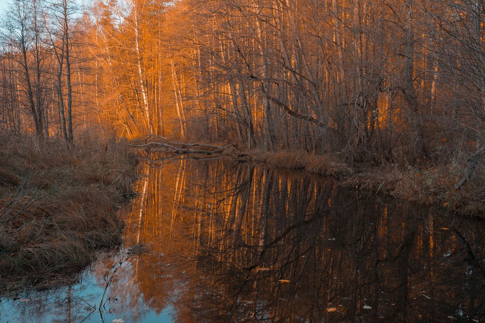 Photograph by Vlad Maslakov