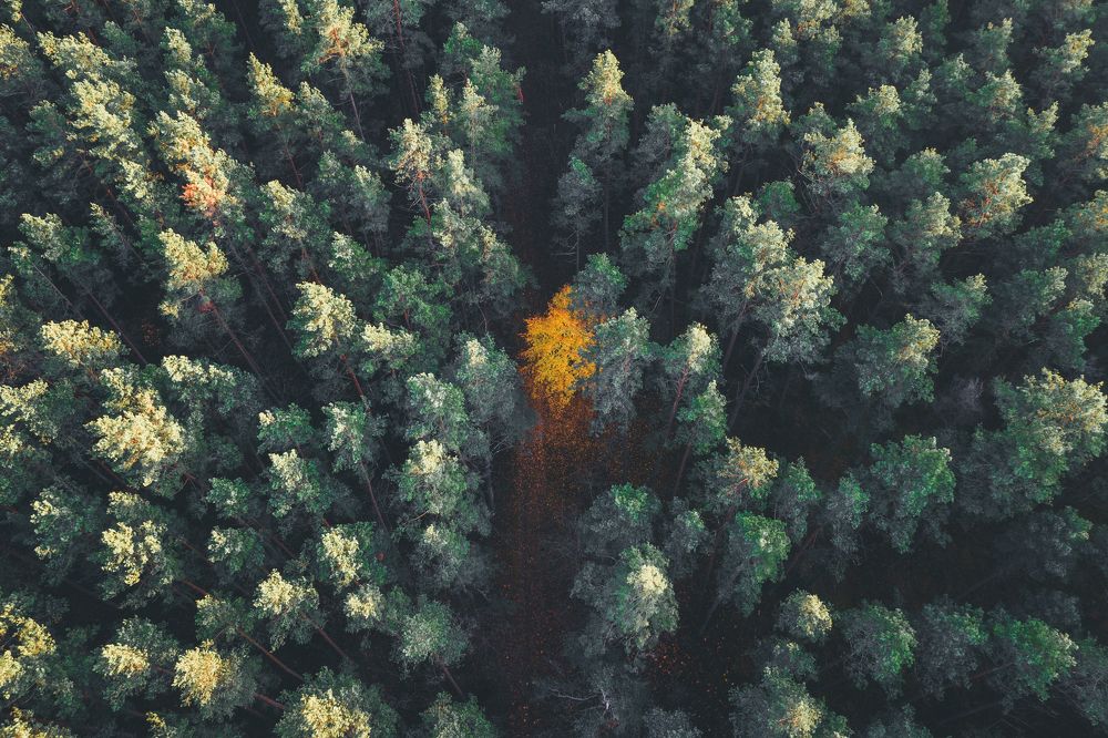 Photograph by Vlad Maslakov