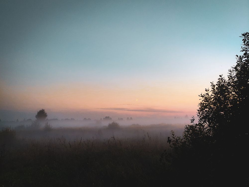 Photograph by Алёна Шматова