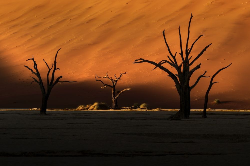 Photograph by Nuket Uluc