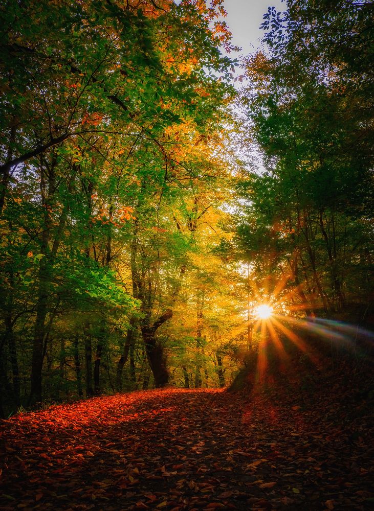 Фотография автора Севак Асрян