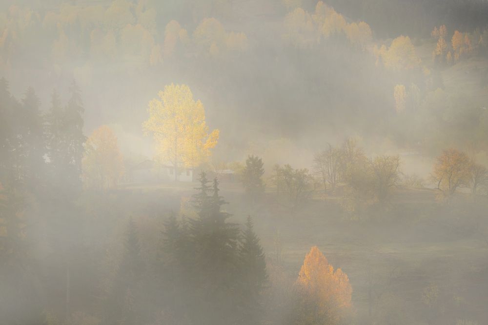 Photograph by Nuket Uluc