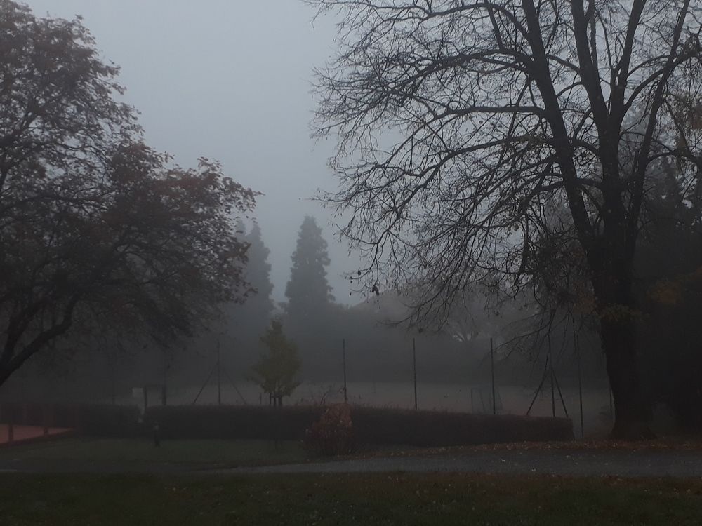 Photograph by Pavla Bondarenko