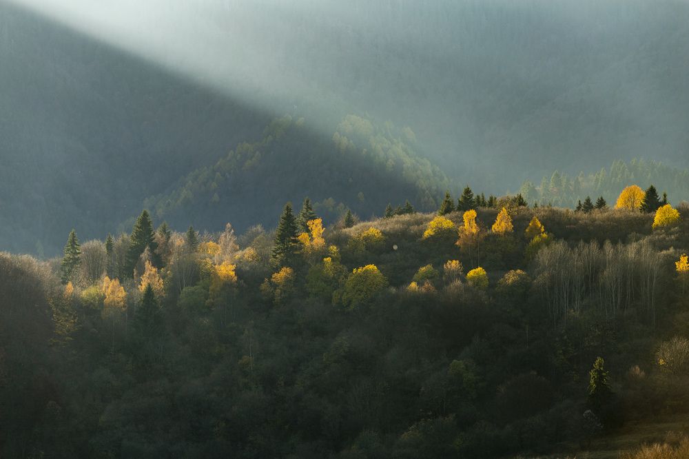Фотография автора Matej Kotula