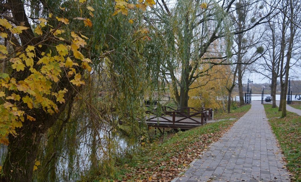 Photograph by Александр Борисович Шкурат