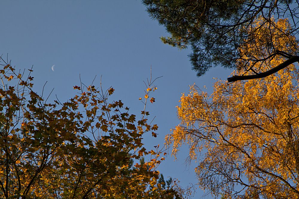 Photograph by Ольга Багрова