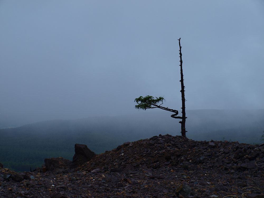 Photo #6695309