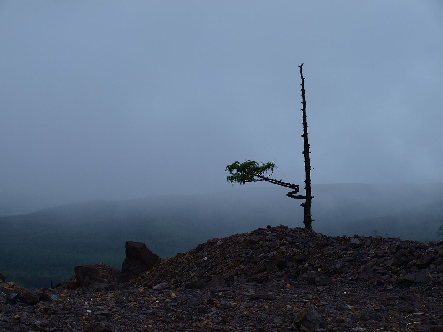 Photo #6695309