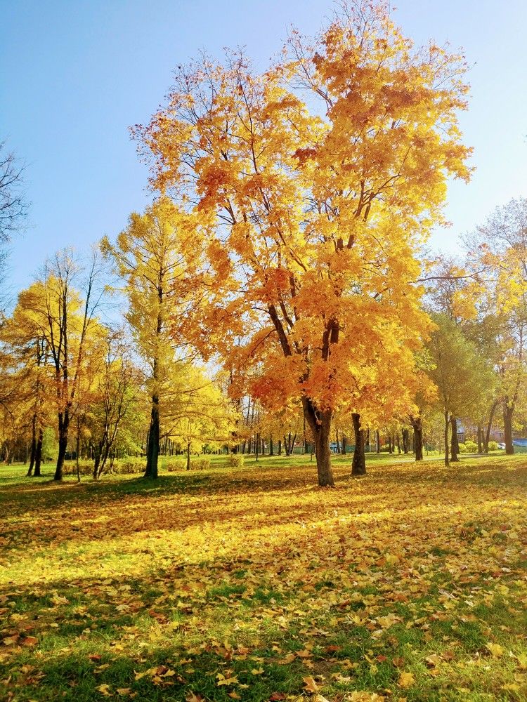 Парк на набережной