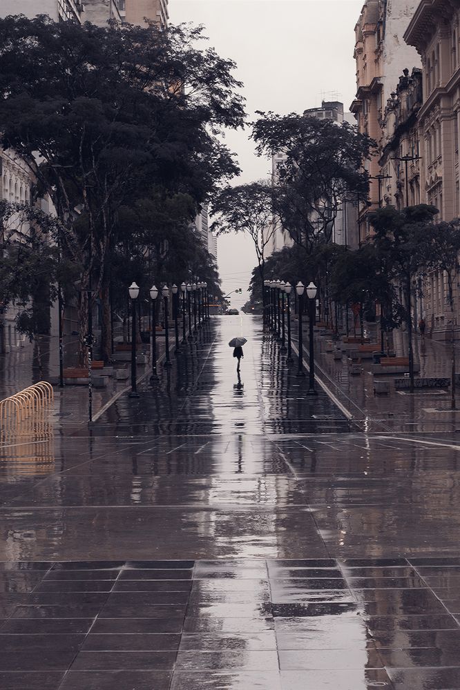 The loneliness of a rainy day.