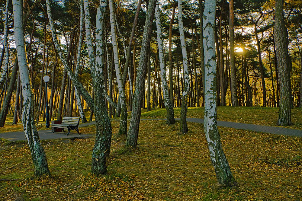 Photograph by Ольга Багрова