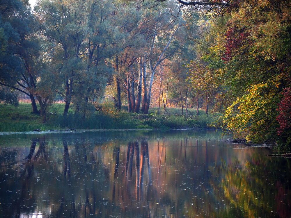 Photograph by Бабаев Андрей