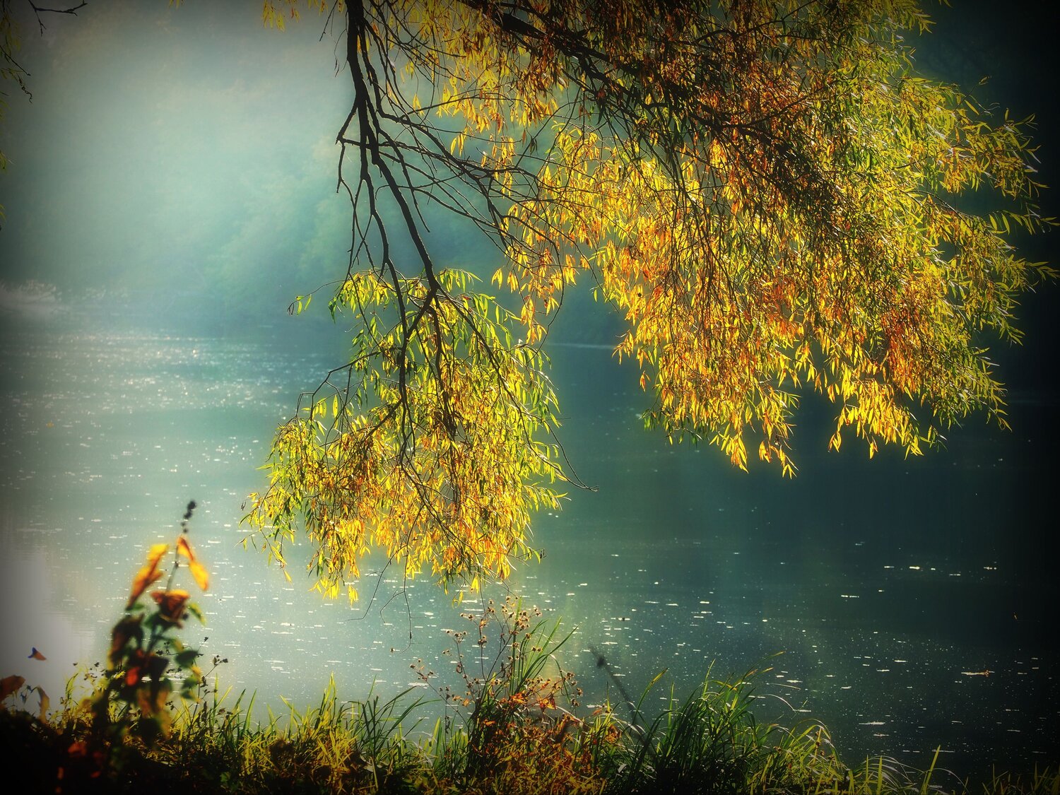 Photo #6695395