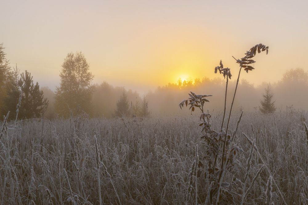 Фотография автора Галина Луценко
