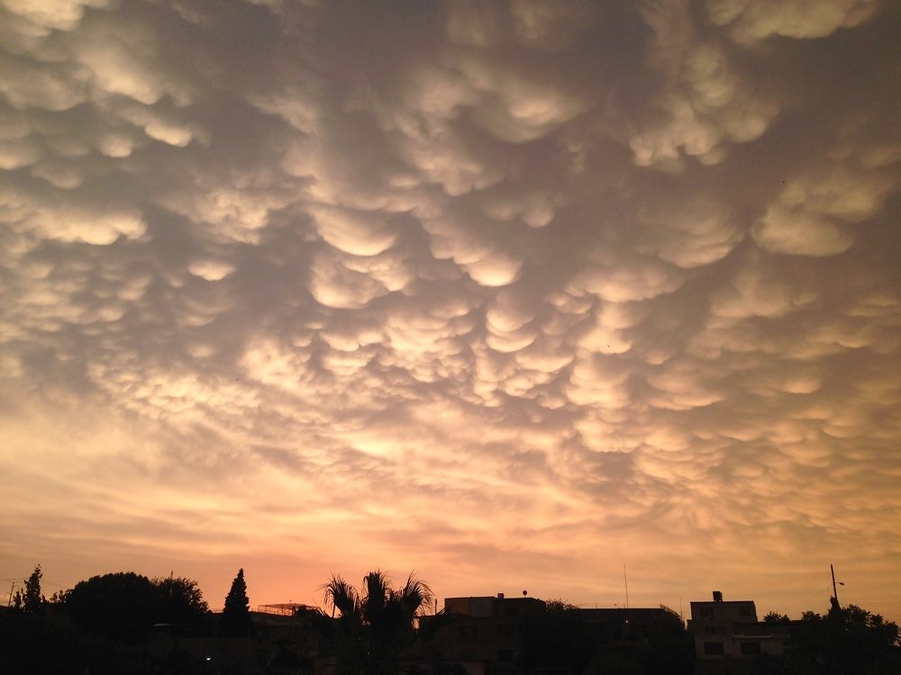 Photograph by JUAN PABLO Escobedo