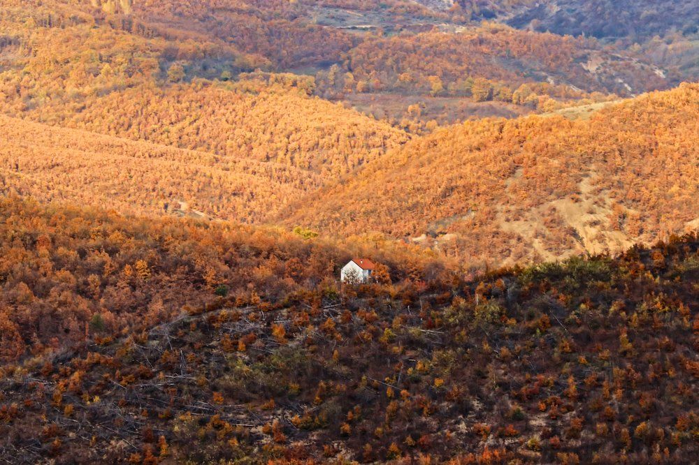 Photograph by Suncica Andrejevic