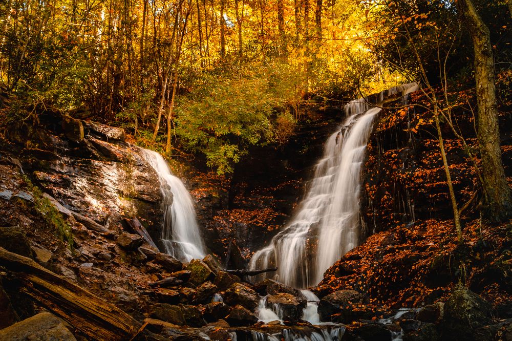 Photograph by Светлана