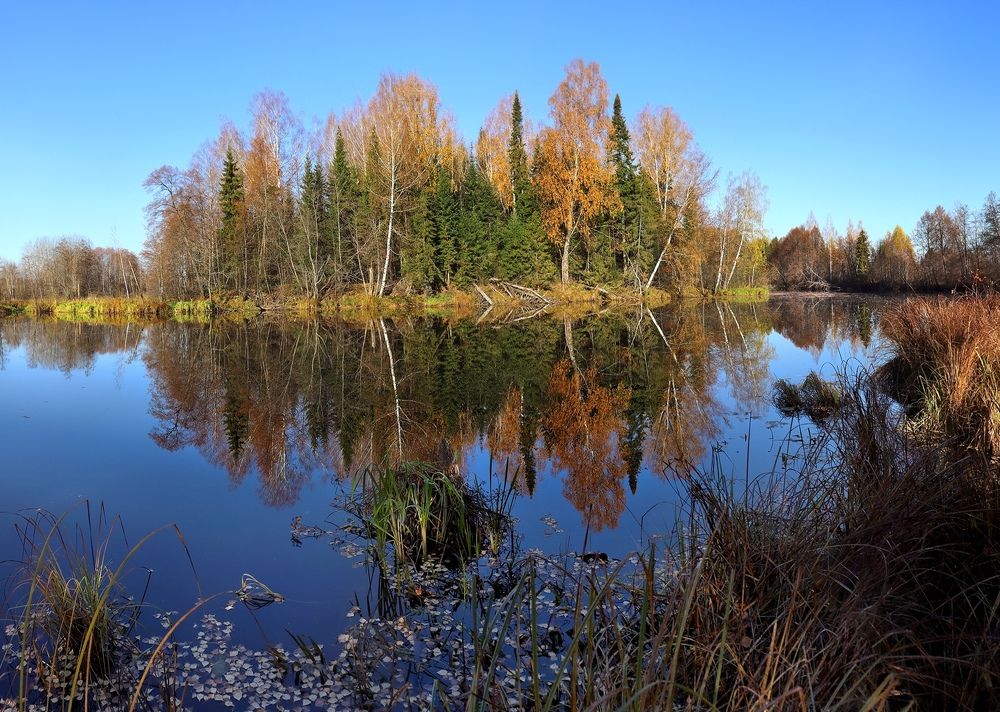 Photograph by Олег Фокин