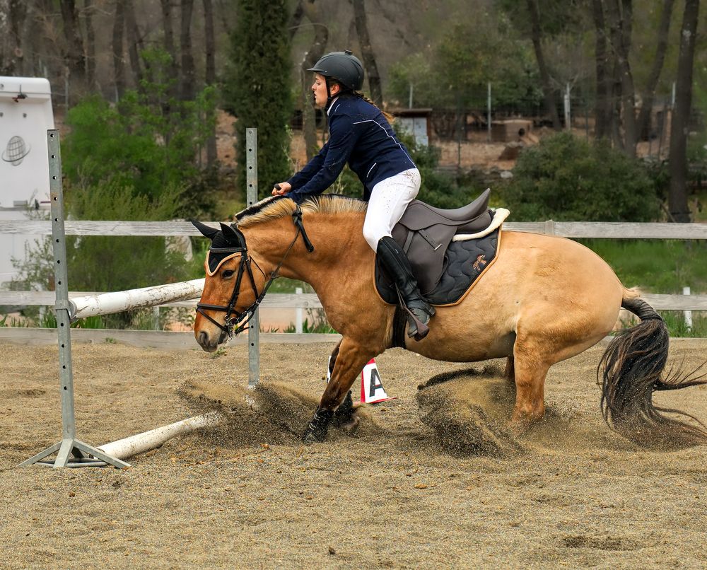 Photograph by Valentina Acrement