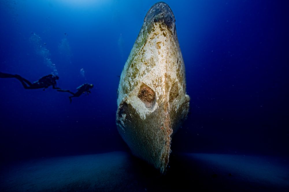 Сторожевик